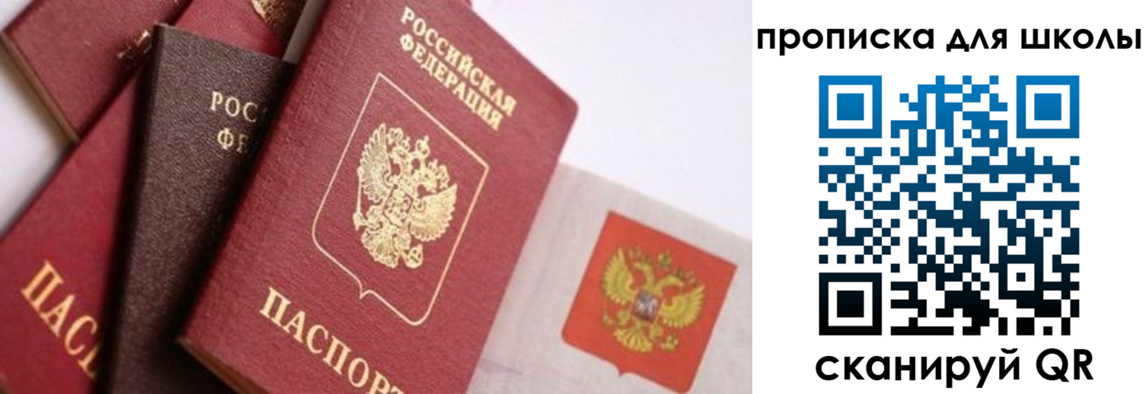 прописка поиск в Павловском Посаде